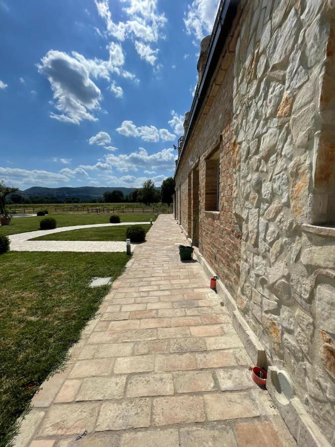 Tenuta Filippi *