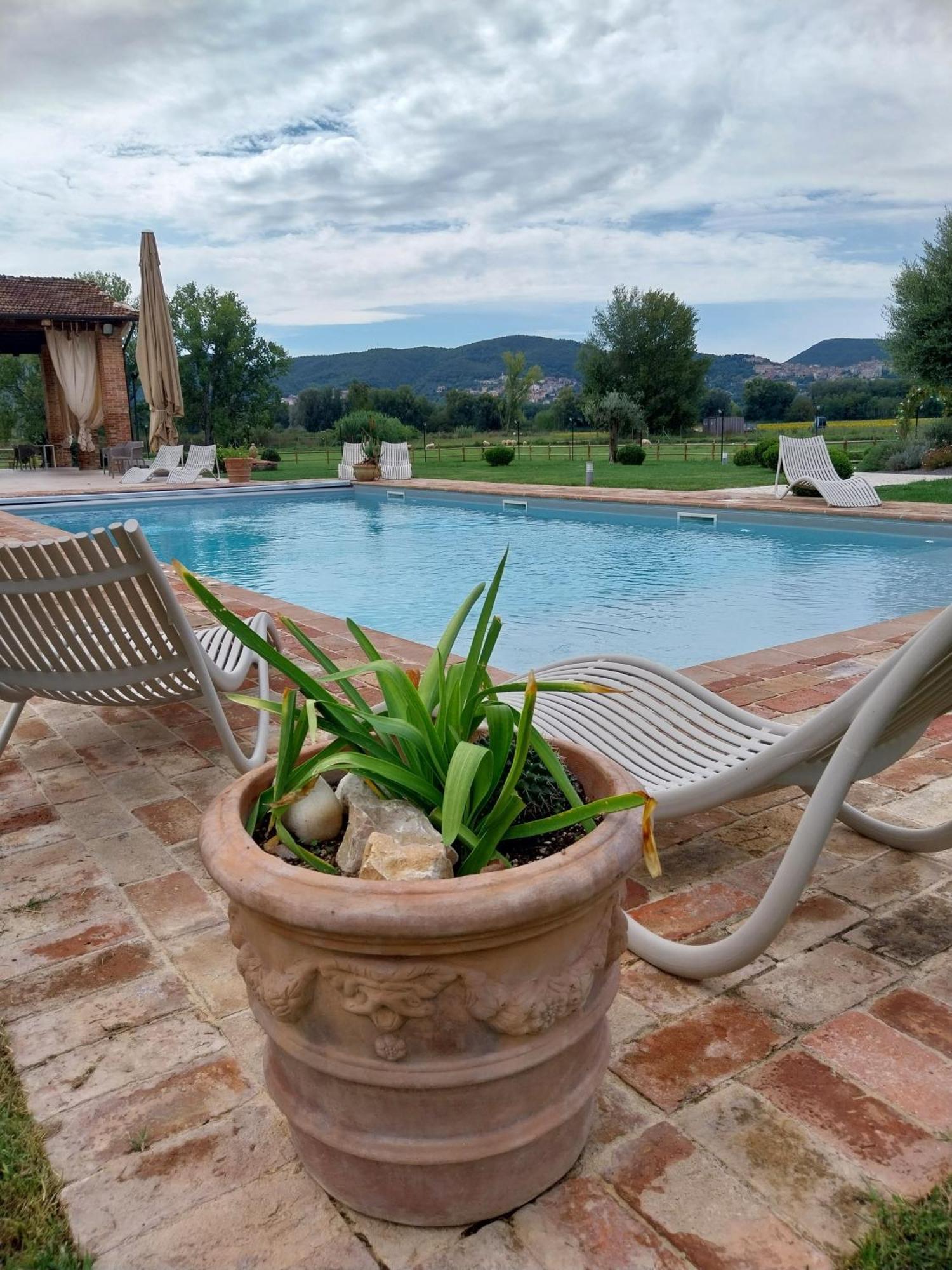 Bed & Breakfast Tenuta Filippi *